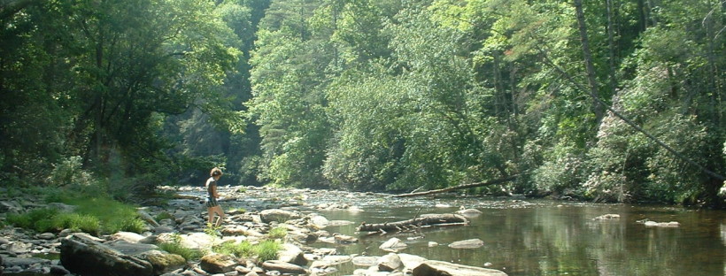 saints at the river ron rash